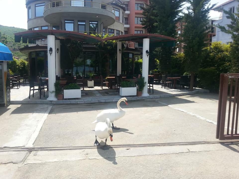 Hotel Saint Marena Pogradec Exterior photo